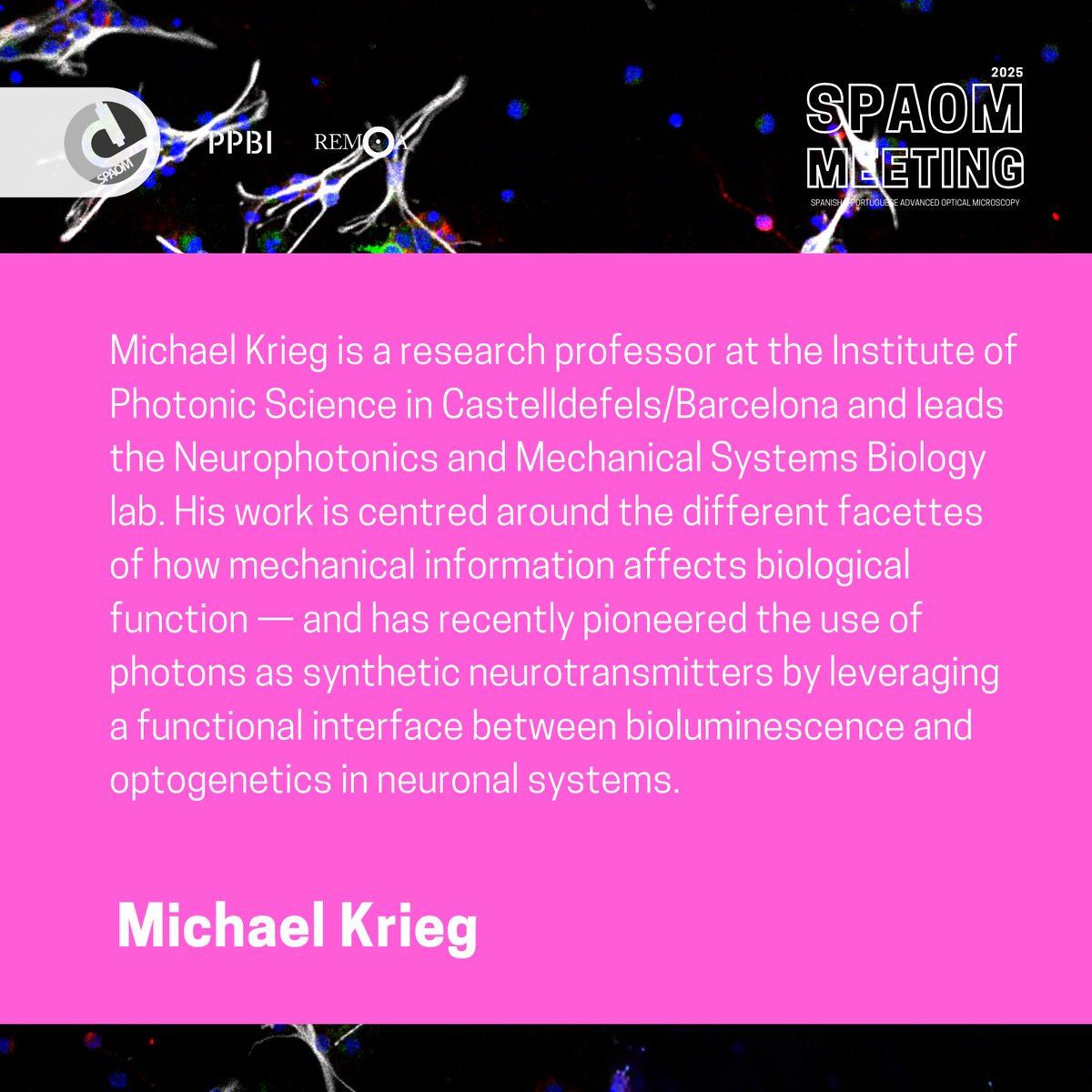 💡 What if photons could act as neurotransmitters? 

At #SPAOM2025, Dr. Michael Krieg (ICFO) will show how bioluminescence + optogenetics reveal how ⚙️ mechanical signals shape biology 🔬

🎤 Hot Topics in Microscopy Methods &amp; Applications

🔗icfo.eu/research-group…

#Microscopy