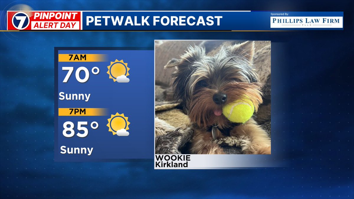 NickAllardKIRO7's tweet photo. Play with the pups earlier in the day because it's going to be hot! #NickKnows #wawx #petwalk https://t.co/cLvkTYZvCa https://t.co/cOUYvKbKGg
