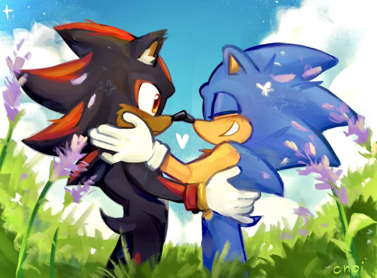 💖 #sonadow