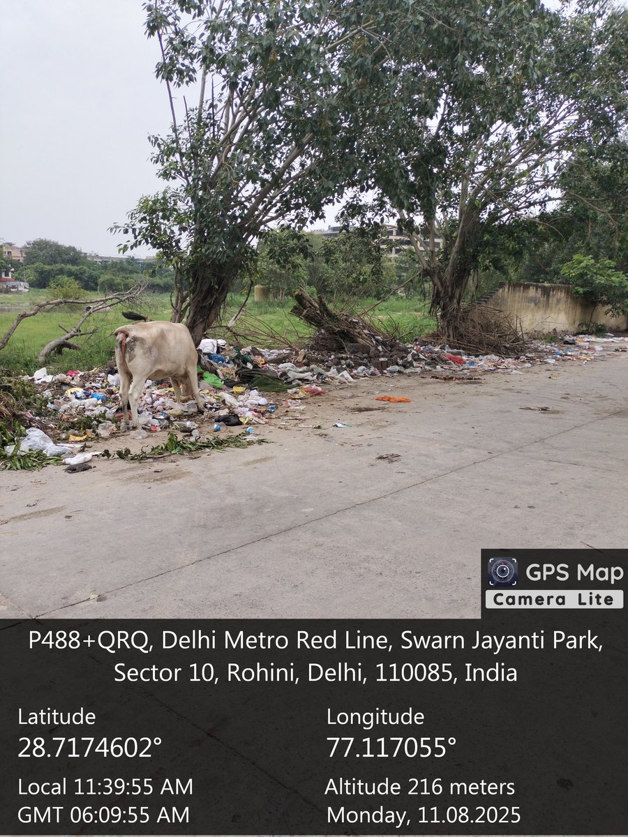 SaveRohini's tweet photo. @mssirsa @PeepalBaba  @CPCB_OFFICIAL @ngt @dcrohinizone @DelhiPwd @moefcc @gupta_rekha @NEERAJ_RTI  स्वर्ण जयंती पार्क  gate no. 4 से गेट नंबर 1 जाते हुए, sector 10 Rohini   1 महीने पहले यहां एक पेड़ गिर गया है जो अभी हरा भरा है कृपया करके उसको बचाया जाए ना कि काटा जाए सभी विभाग https://t.co/gZ2yNVTbkU