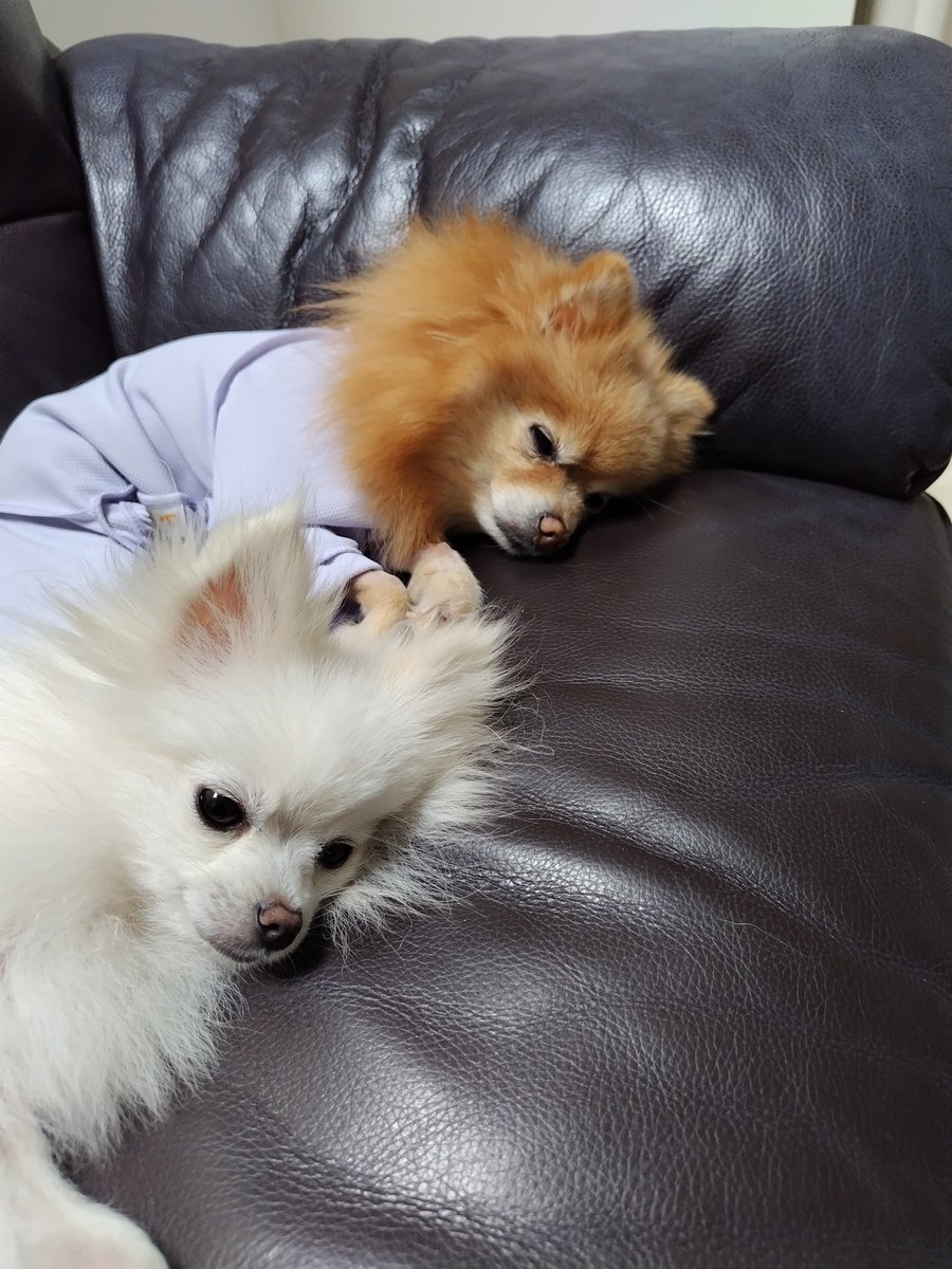 友理　潤 tweet media