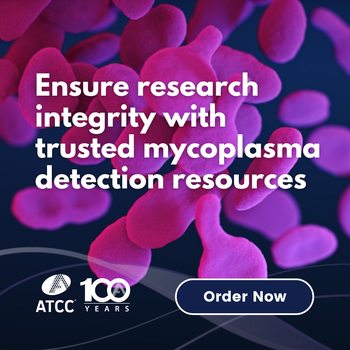 Protect your cell cultures from the silent threat of mycoplasma contamination with ATCC's comprehensive mycoplasma portfolio. ​

Discover how ATCC can safeguard your research:  ow.ly/OPXj50WCKPn