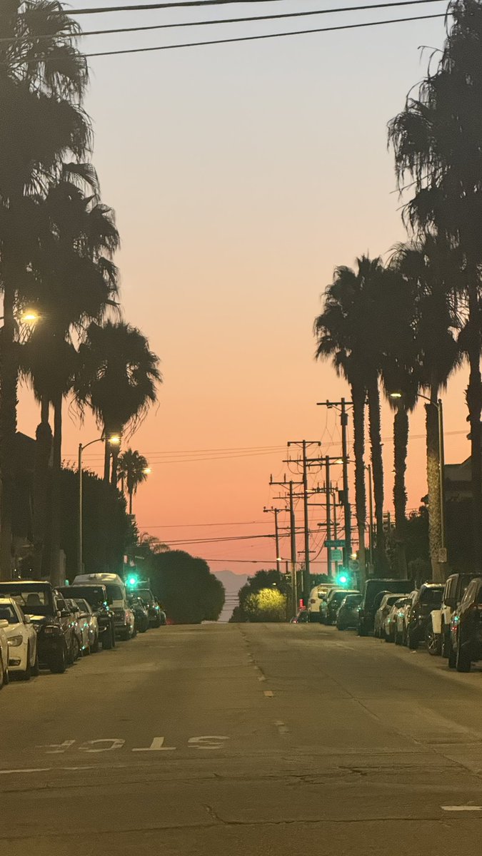 wapple15's tweet image. Good morning from #VeniceBeach 🌖 as we make our next move…🛫