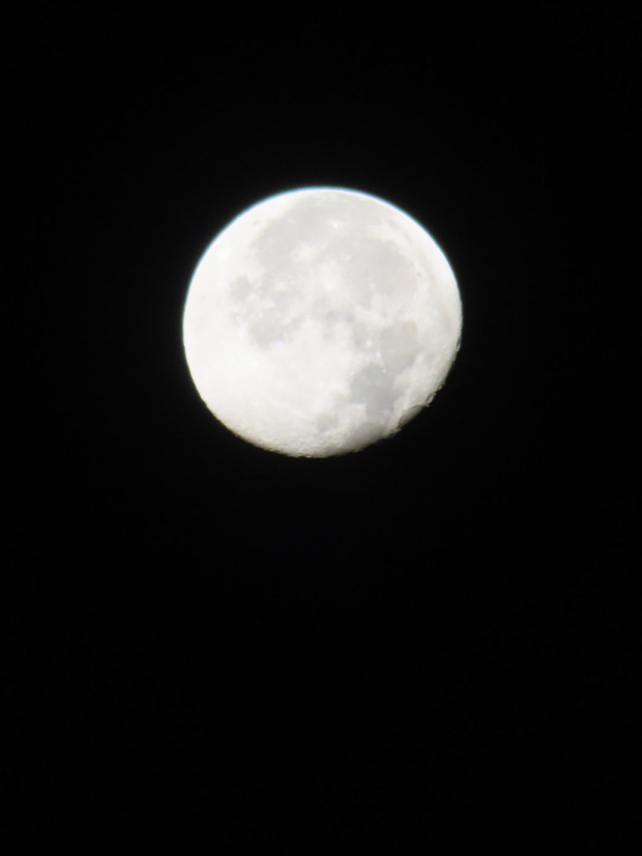 wapple15's tweet image. Good morning from #VeniceBeach 🌖 as we make our next move…🛫