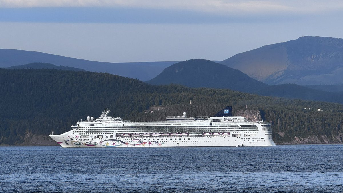 Gary Kelly tweet media