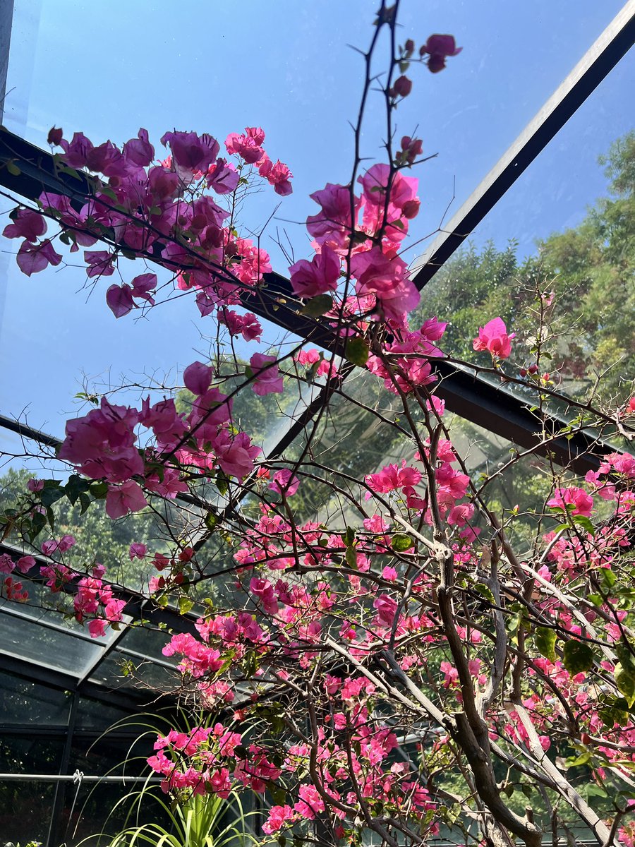 本日出先の洗面で親子が入ってきたけど個室のドアの外でお子さんを待たせてる気配がしたのに、その後出てみたら保護者の方が顔色を変えてお子さんを探しておられる。これはいかんと、特徴を訊いて私がここで待っているから周りを探してきてと声をかけた。少し離れた所で合流出来たらしく、本当によかっ