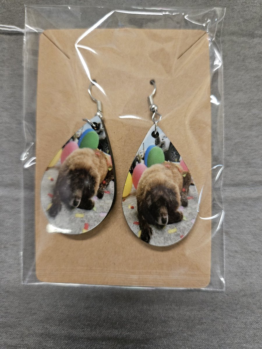 teddythriftdog's tweet photo. Teddy Keychains
# #thriftyteddy #teddythethriftdog #keychains 
@trendytreasures.vm https://t.co/DYgn059lJo