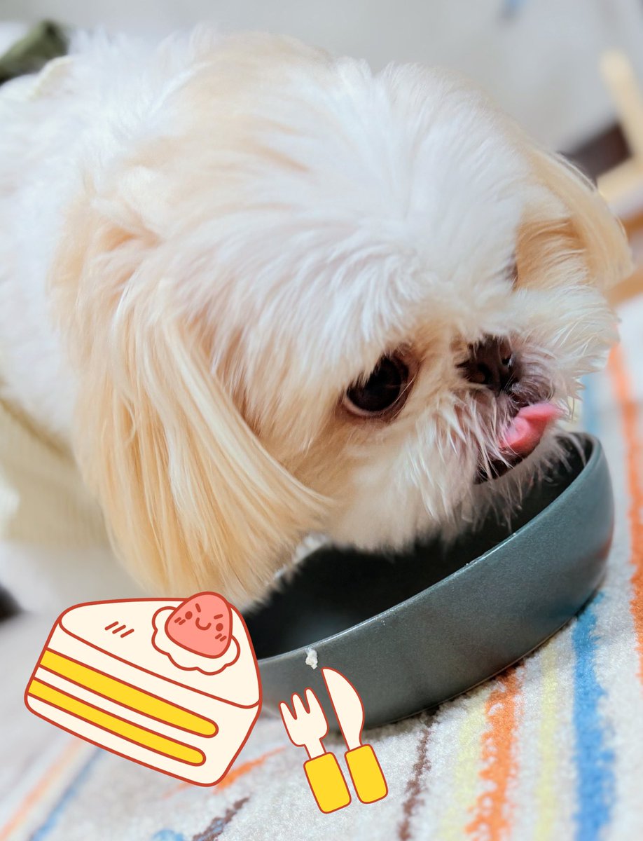 - ̗̀ 𝙷𝙰𝙿𝙿𝚈 𝙱𝙸𝚁𝚃𝙷𝙳𝙰𝚈  ̖́-
4歳🐶🍣🍰