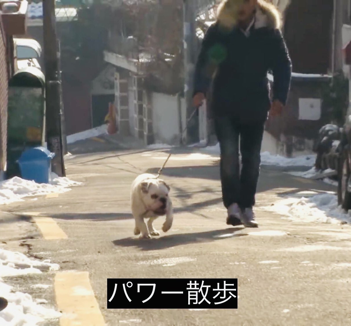 れもん様 Fu49uoYagAE45RW.jpg