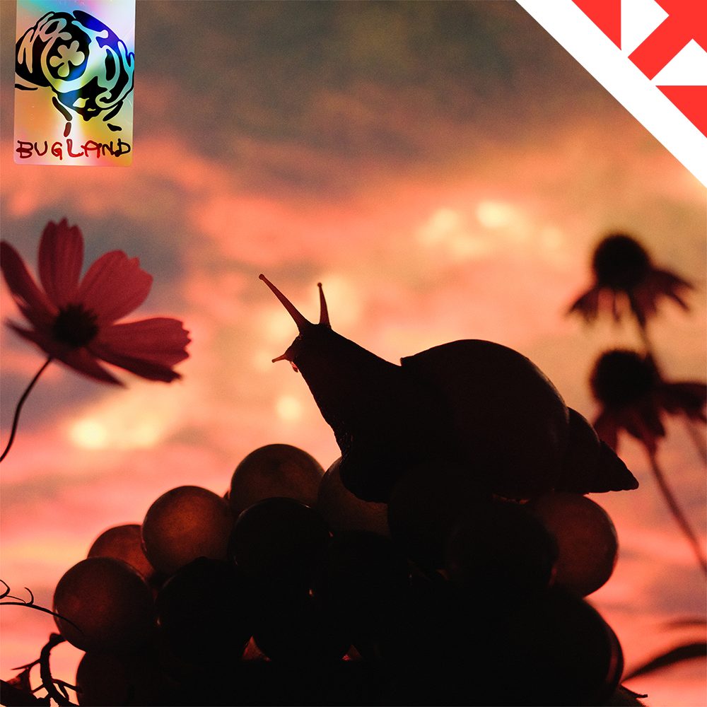 Pitchfork tweet media