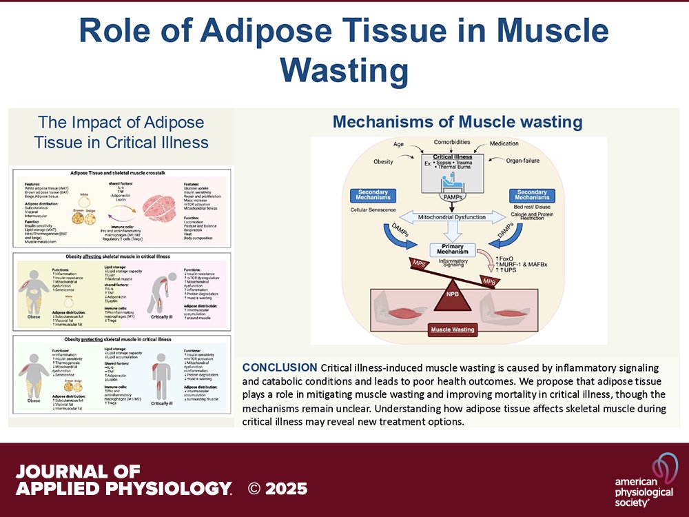 Journal of Applied Physiology tweet media