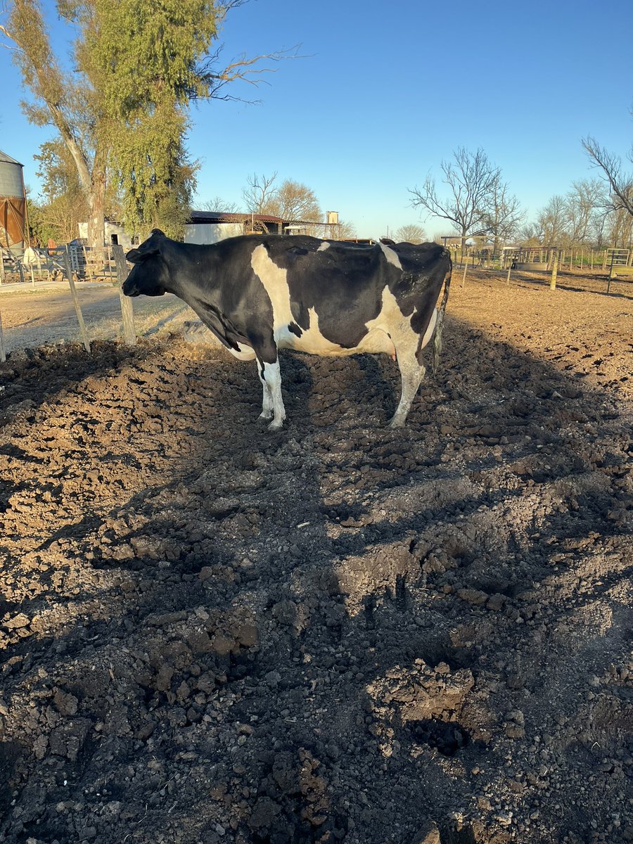 Unix 6a4p (vg84 2a6m)