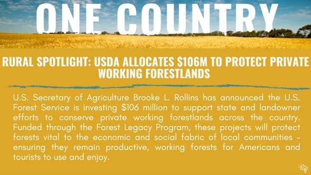 One Country Project (@_onecountry_) on Twitter photo Today’s #RuralSpotlight recognizes <a href="/USDA/">Dept. of Agriculture</a> for investing $106M to support state and landowner efforts to conserve private working forestlands across the country. This program will protect our forests and the economic value they bring to rural America. More: morningagclips.com/usda-invests-1… Today’s #RuralSpotlight recognizes <a href="/USDA/">Dept. of Agriculture</a> for investing $106M to support state and landowner efforts to conserve private working forestlands across the country. This program will protect our forests and the economic value they bring to rural America. More: morningagclips.com/usda-invests-1…