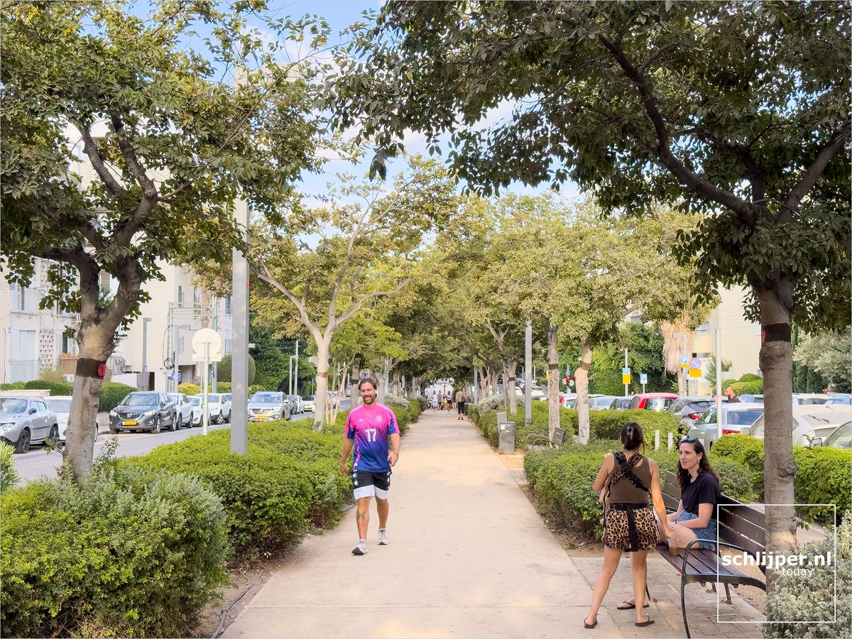 schlijperisrael's tweet photo. Sderot Nordau
#TelAviv #Israel #benchTLV https://t.co/lUlD3UhUSo