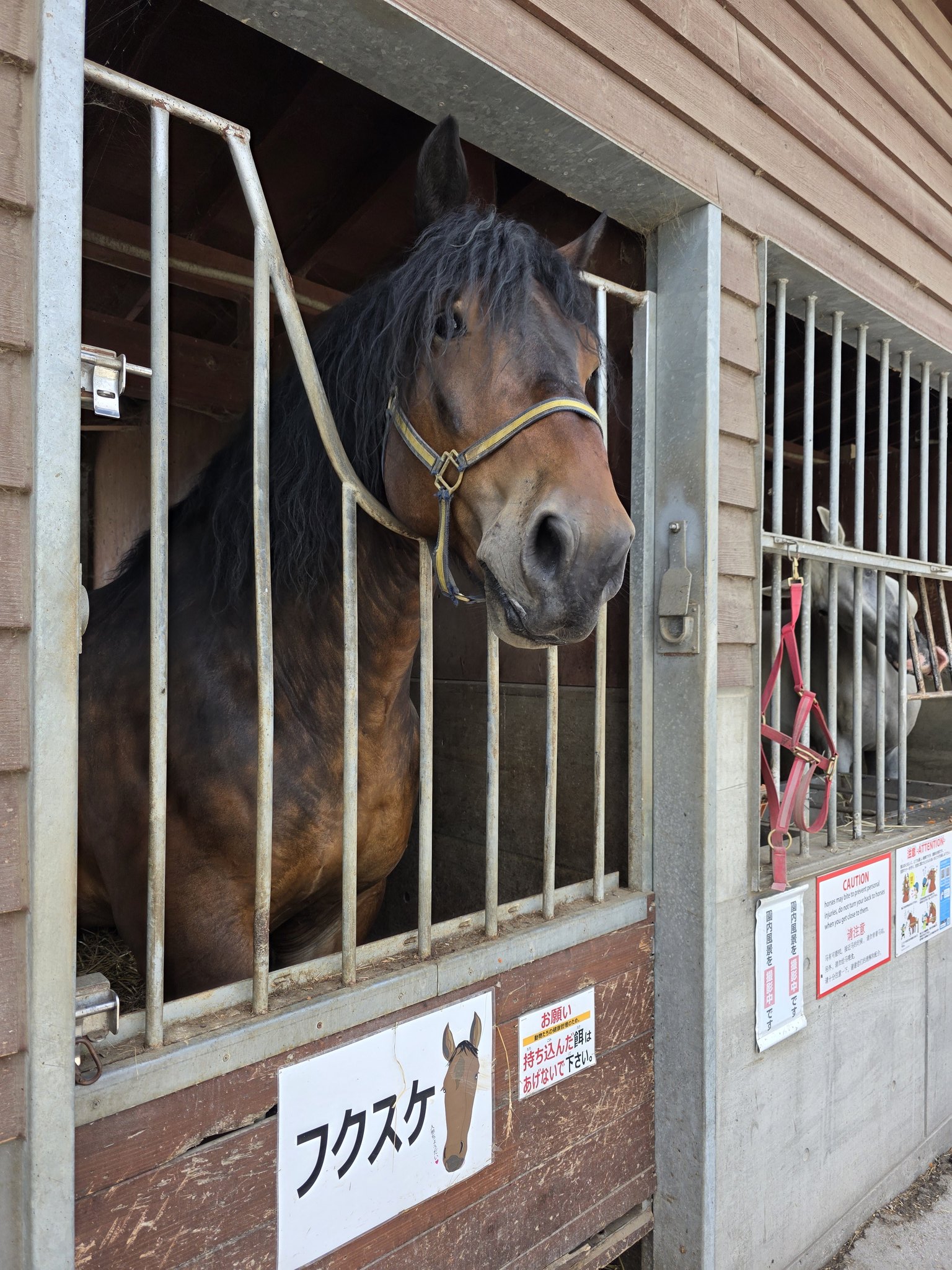 ひまわりページです•*¨*•.¸¸☆ いきいきと咲くひまわりを撮った！ スイカでコーデで夏らしくっ