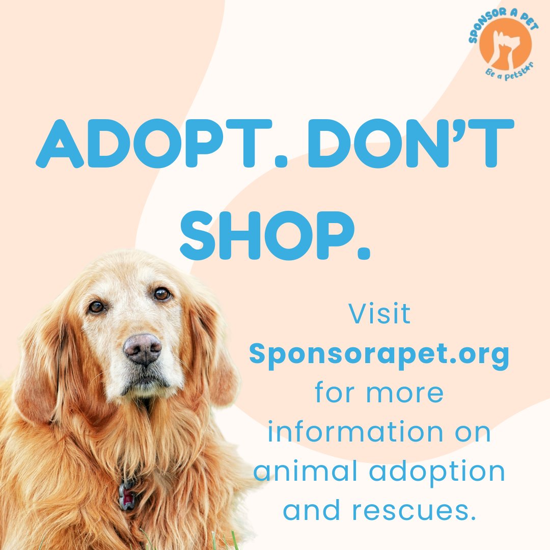 Sponsor_a_Pet's tweet photo. Give senior pets the happiness they deserve to thrive in their final years! 
Share this with someone who’d make a great owner or foster for a senior pet.
#AnimalRescue #SponsorAPet #AdoptDontShop #AnimalBehavior #SupportAnimalRescue #SeniorPets #SeniorDog #SeniorCat https://t.co/Xiw2faCYvV