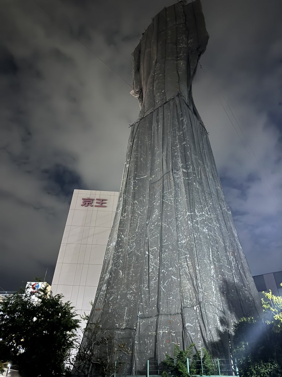 すっごい迫力...