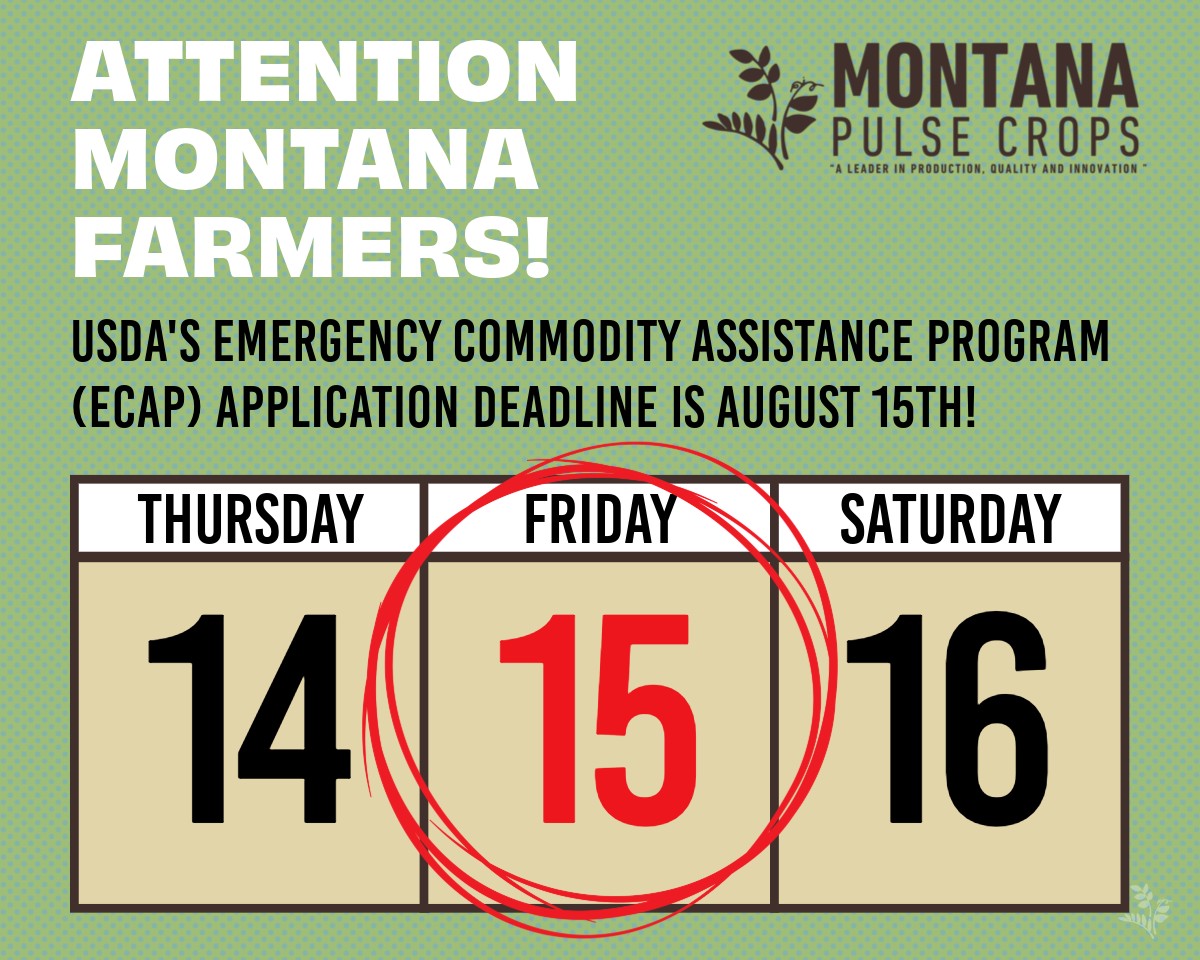 mtpulsecrops's tweet image. 🚨 ECAP Deadline Approaching: Aug 15th! Montana pulse growers, apply for the Emergency Commodity Assistance Program for 2024! 

✅ Apps due 8/15/2025! Apply online or at your local FSA office. 

🔗 fsa.usda.gov/ecap 

#PulseCrops #MontanaAg #ECAP #Chickpeas #Lentils #Peas