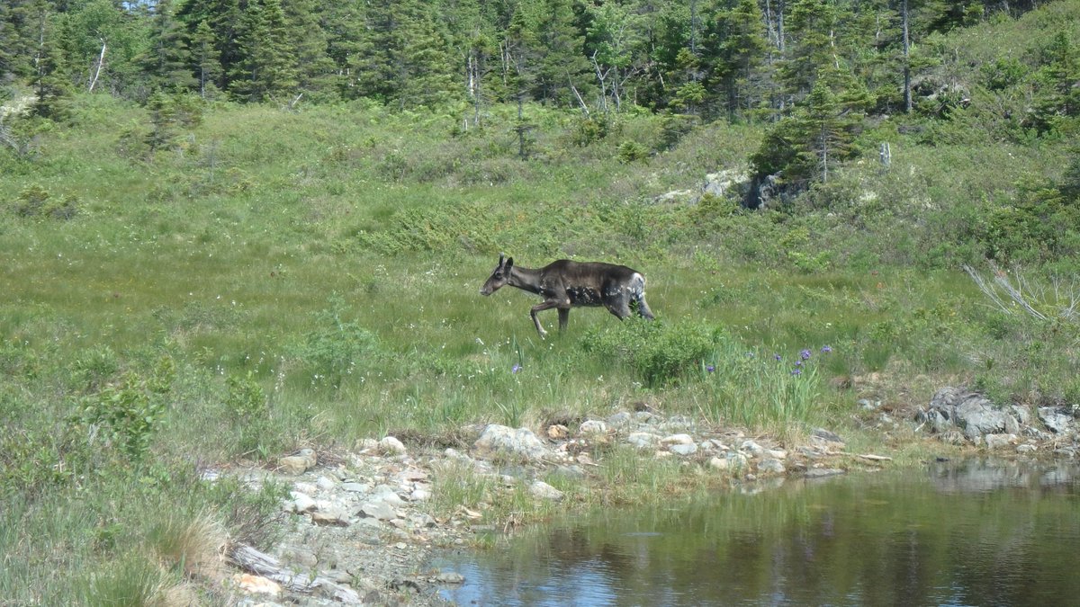 Throwback to a great day in the field near our Colchester project with a special guest appearance! 🫎