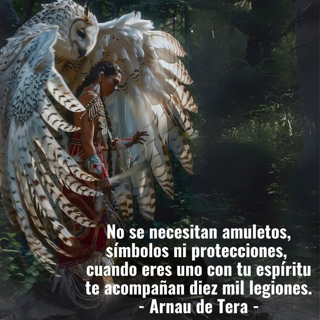 Arnau de Tera (@arnautera) on Twitter photo 