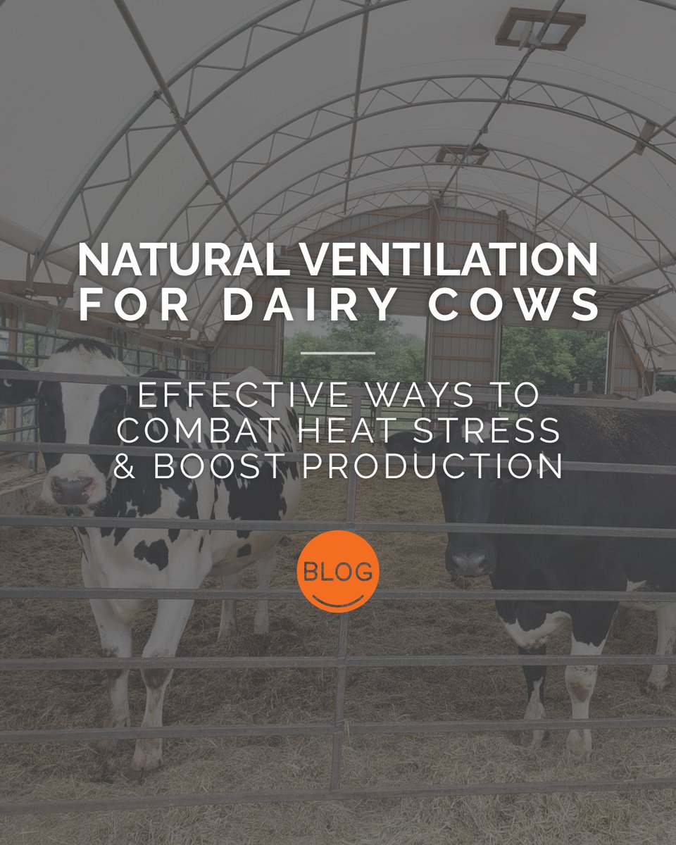 🐄 Hot cows = less milk.

See how Britespan’s fabric buildings are helping dairy farmers protect herd health and profits year after year.

📖 hubs.ly/Q03BsYRv0

#Britespan #FabricBuildings #DairyBarns #HeatStress