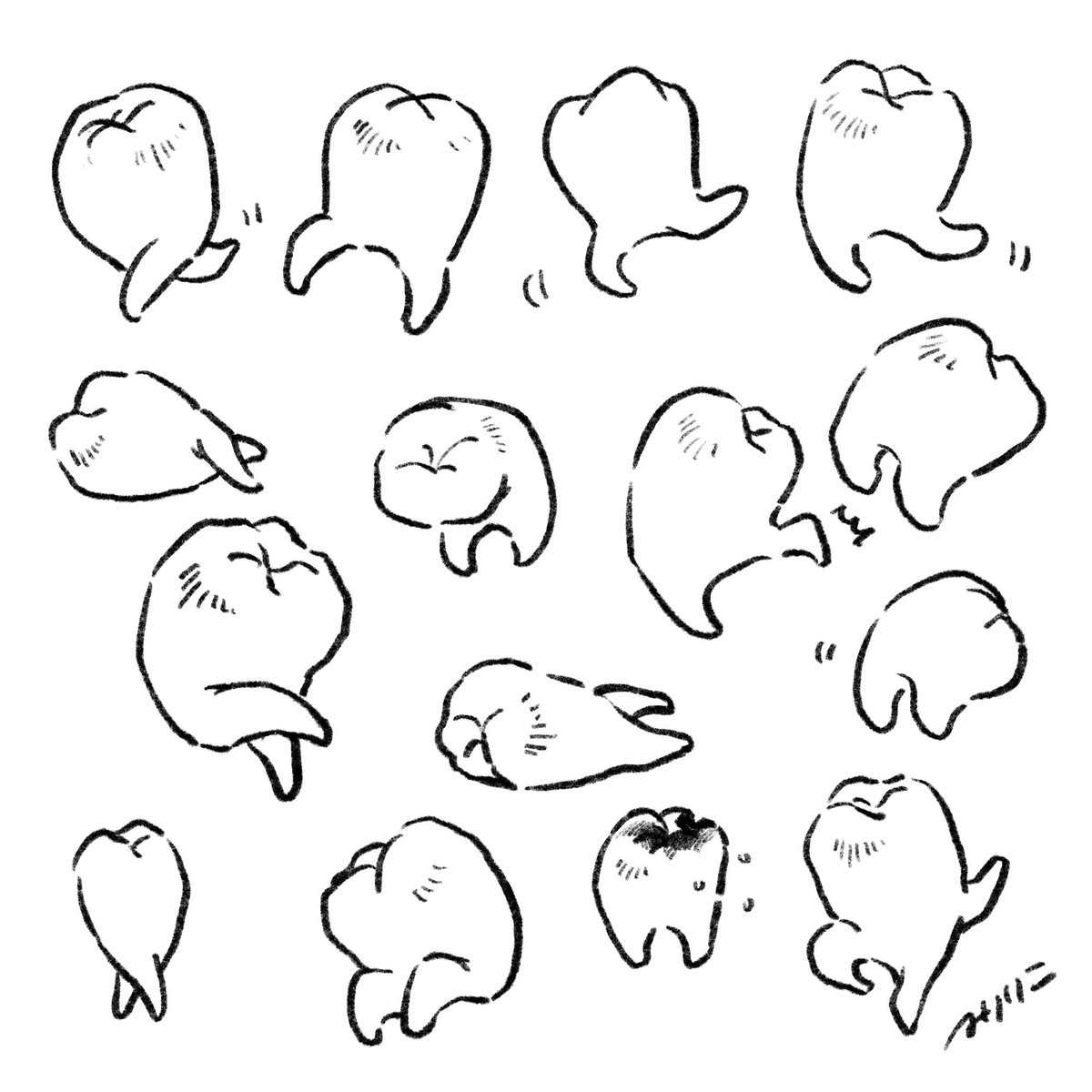 もしかして、奥歯って可愛いのでは？