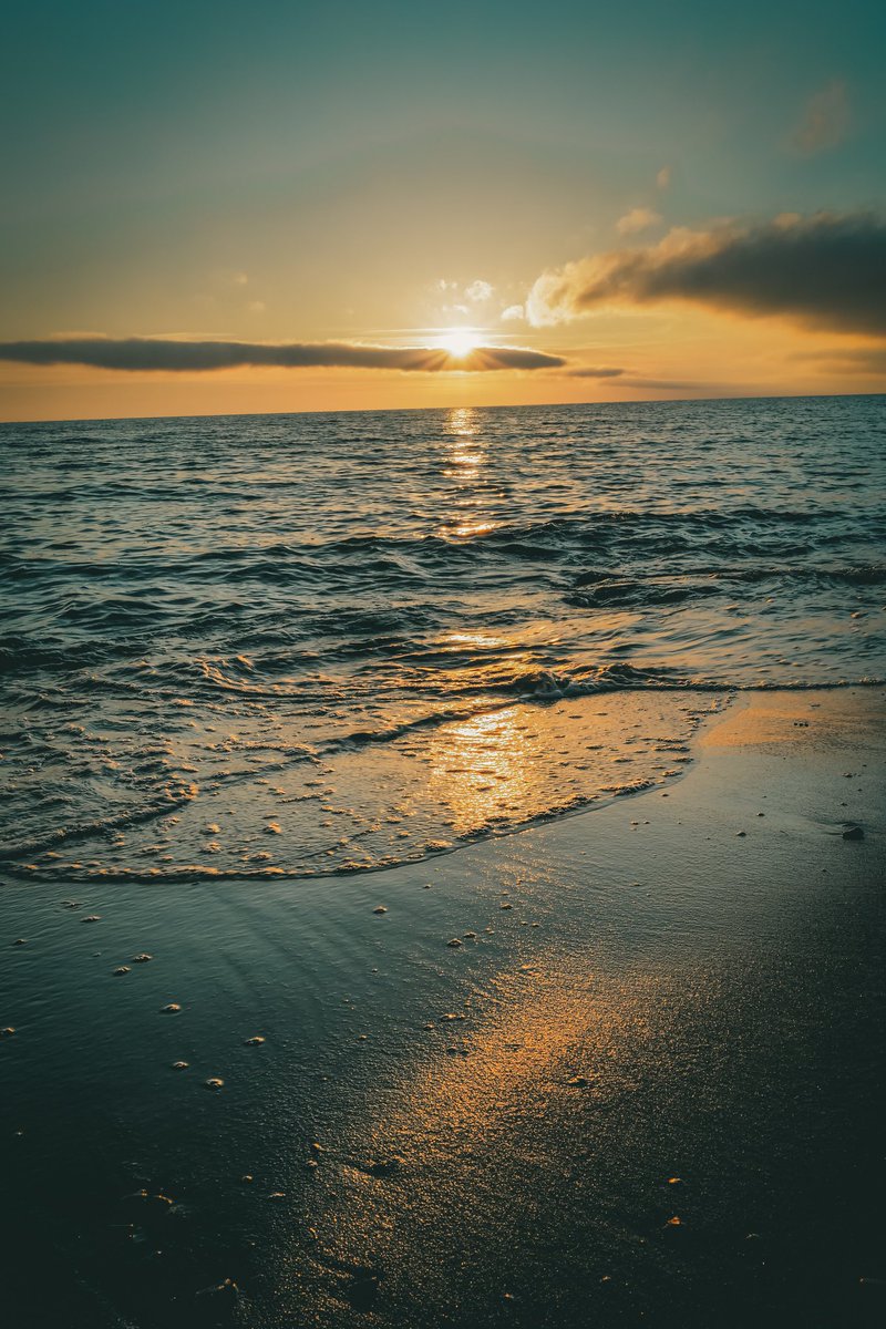 கடந்து வந்த பாதையை 
கவனித்துப்பாருங்கள்., 

நாம் பாவம் பார்த்த 
யாரோ ஒருவர் தான்
சரியான சமயத்தில் 
நம்மை பதம் பார்த்து இருப்பார்கள்....!!

💯✅

மாலை வணக்கம் 💐💐