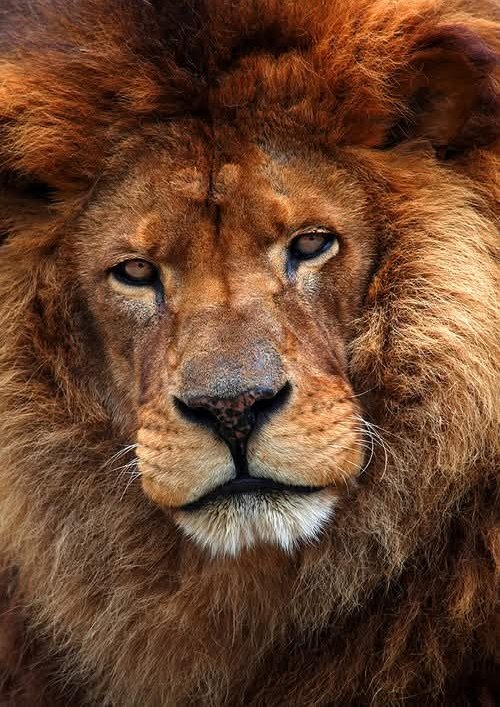 Denise (@kdwho) on Twitter photo 