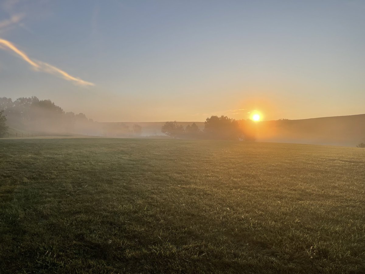 Linsly Football tweet media
