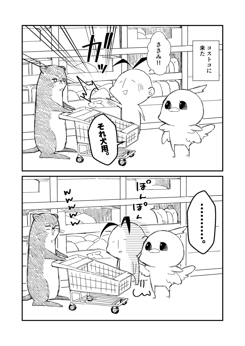 ふぉろわと行ったコストコの思い出2025。 