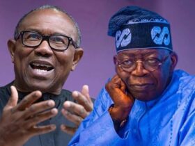 ParallelFacts's tweet photo. Families Who Once Lived Stable Lives Now Slip Into Poverty Due to Incompetent Leadership Lacking Capacity, Compassion — Peter Obi Knocks Tinubu's Regime https://t.co/nsa8dpzAKx https://t.co/8w5kndFSg6