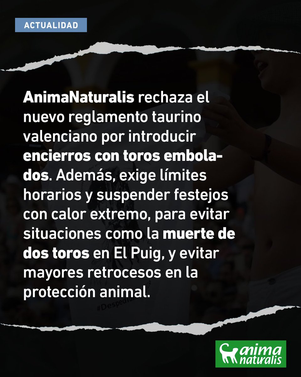 ❗ Pretenden introducir en la legislación autonómica la posibilidad de autorizar encierros con toros embolados.

❗Exigimos incluir cláusulas específicas para evitar encierros a medianoche o bajo calor extremo.

🐂☠ El 12 de agosto de 2024, durante las fiestas patronales en El