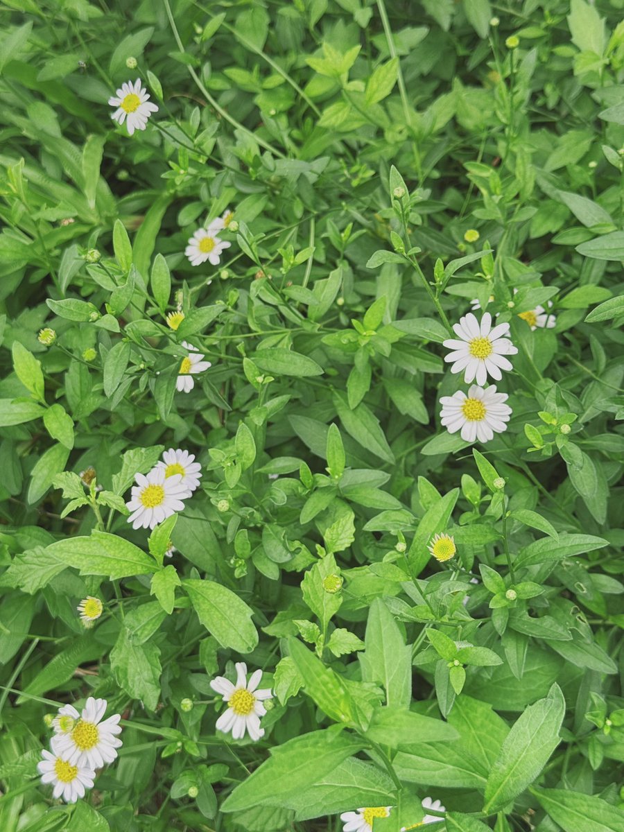 อะไรแบบนี้ทำชั้นไมเกรนได้ขึ้นตลอด 🫩