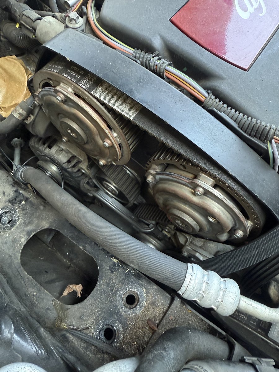 Ribera420's tweet image. Replacing a cam belt isn’t that hard. It’s just the work to get there. #greasemonkey