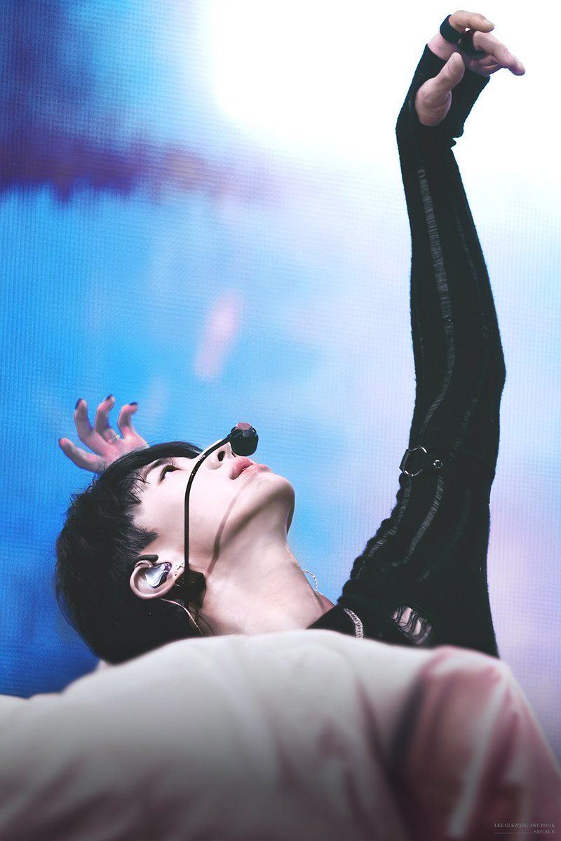 나의 블랙스완🖤