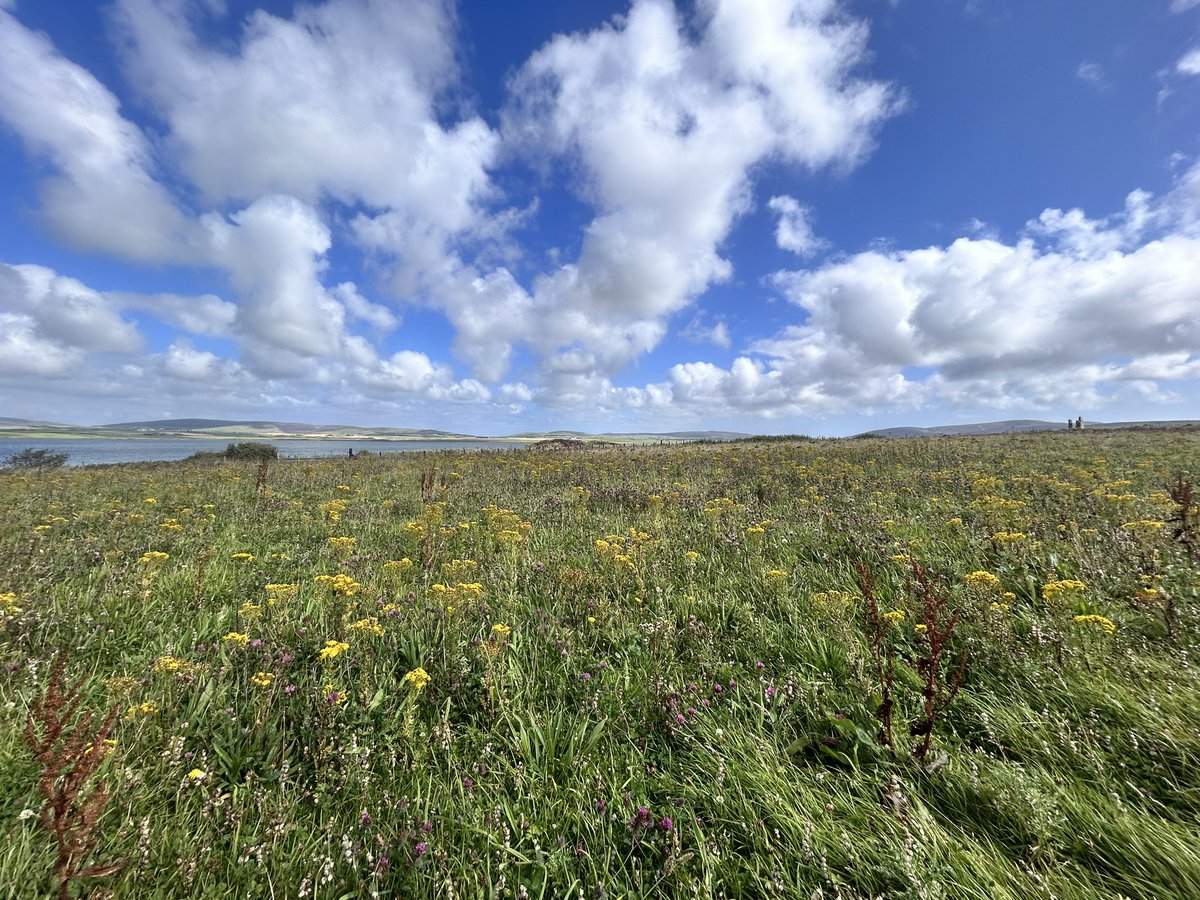 Beautiful day now on Orkney’s mainland. Absolutely gorgeous place. <a href="/BBCScotWeather/">BBC Scotland Weather</a> <a href="/bbcweather/">BBC Weather</a> <a href="/JudithRalston/">Judith@weather</a> #bbcweatherwatchers