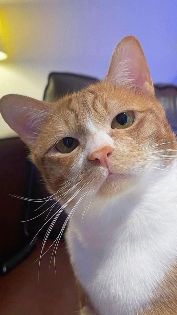 話が長い＝怪しい