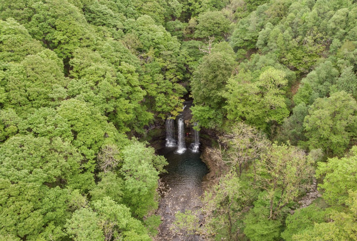Doc_IonaCollins's tweet photo. Swansea Spinal Unit has a Spinal Fellow vacancy. Rather than tell you about the unit, though, I thought I'd leave these local photos here. 
DM me if interested. The post is for a year. https://t.co/ifqjvKGASg