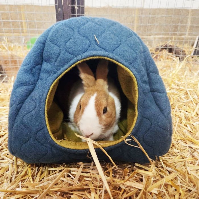 TreeTents's tweet image. Using the same sustainable wool that keeps our Tree Tents warm, we&apos;ve created a luxury hideout for guinea pigs, rabbits, chinchillas, small chickens, hedgehogs and more.
It regulates temperature and stays fresh, so your pets are comfy all year round.

🐇🦔 buff.ly/DcIIXfC