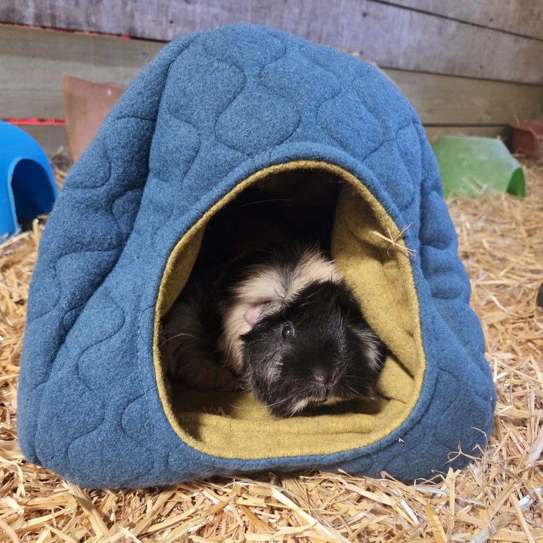 TreeTents's tweet image. Using the same sustainable wool that keeps our Tree Tents warm, we&apos;ve created a luxury hideout for guinea pigs, rabbits, chinchillas, small chickens, hedgehogs and more.
It regulates temperature and stays fresh, so your pets are comfy all year round.

🐇🦔 buff.ly/DcIIXfC
