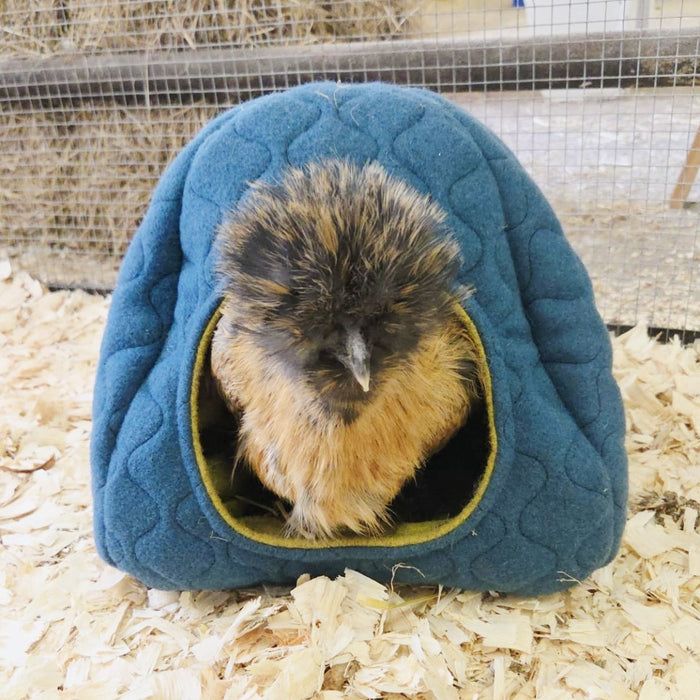 TreeTents's tweet image. Using the same sustainable wool that keeps our Tree Tents warm, we&apos;ve created a luxury hideout for guinea pigs, rabbits, chinchillas, small chickens, hedgehogs and more.
It regulates temperature and stays fresh, so your pets are comfy all year round.

🐇🦔 buff.ly/DcIIXfC