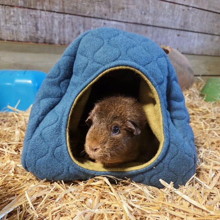 TreeTents's tweet image. Using the same sustainable wool that keeps our Tree Tents warm, we&apos;ve created a luxury hideout for guinea pigs, rabbits, chinchillas, small chickens, hedgehogs and more.
It regulates temperature and stays fresh, so your pets are comfy all year round.

🐇🦔 buff.ly/DcIIXfC