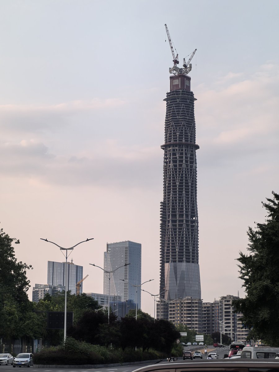 比赛结束之后时间已经很晚，且需要回本市参加亲戚第二天中午的婚礼，所以只好选择搭乘次日清晨最早的航班——然后就在飞机上有了人生中第一次被称呼为“女士”的经历……
附图是我市某著名大蟑螂。图文无关。