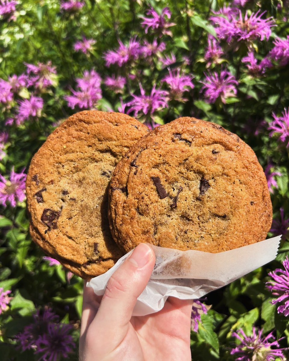 Meet Our Member: Hungry Ghost Bread
⁠
This Northampton bakery is known for its naturally leavened, wood-fired breads crafted with care and rooted in tradition. 

Learn more: hungryghostbread.com