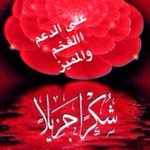 Photo by نجم★9k (@2026star)