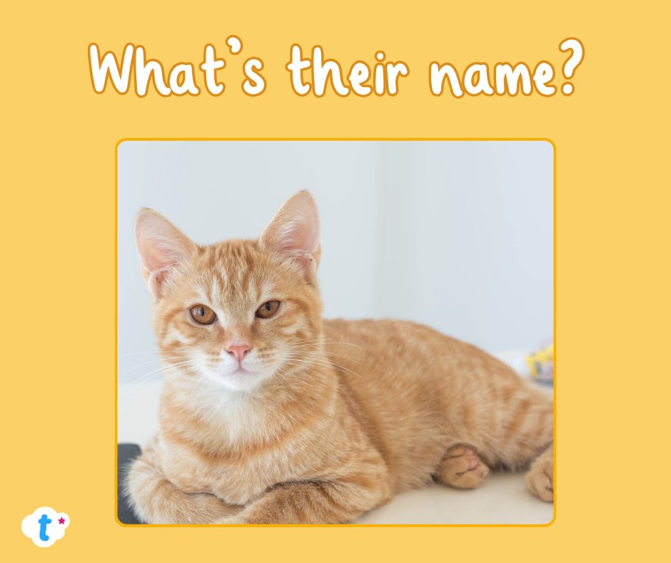 Twinkl Resources tweet media