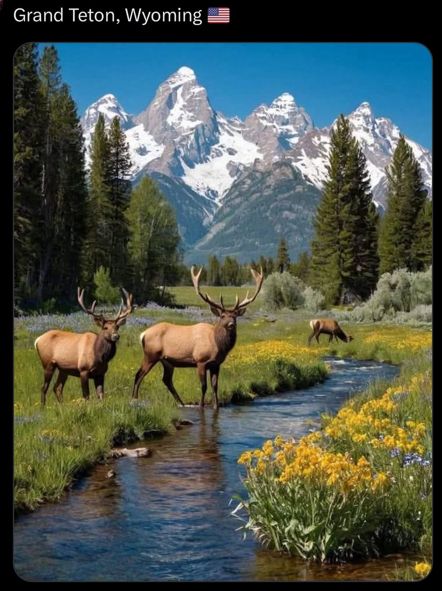 Matt Droter tweet media