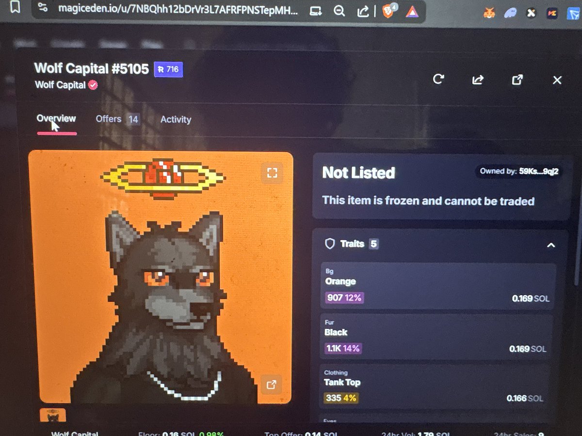 To the <a href="/WolfCapital_/">Wolf Capital 🐺</a> community, im looking for this owner

Twitter do your thing