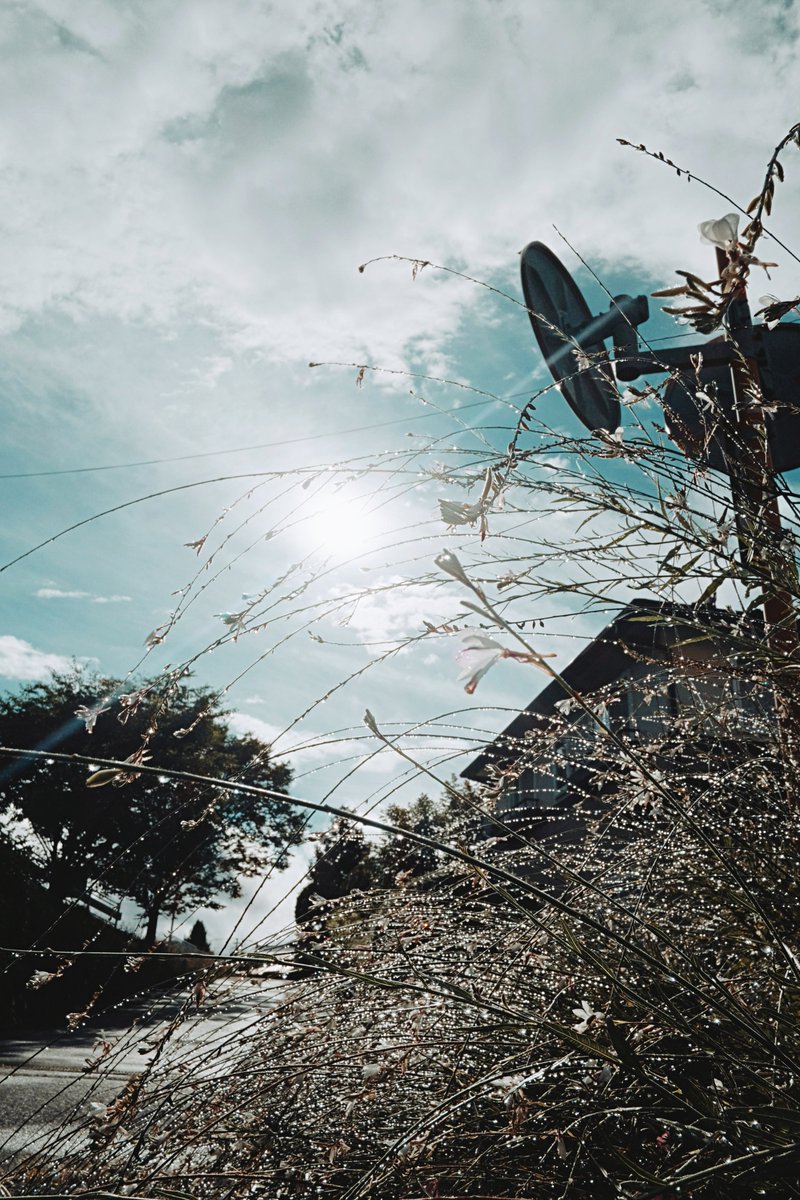 𝚖𝚘𝚗𝚔𝚢𝙳𝙸𝙾 (@monkydio) on Twitter photo 