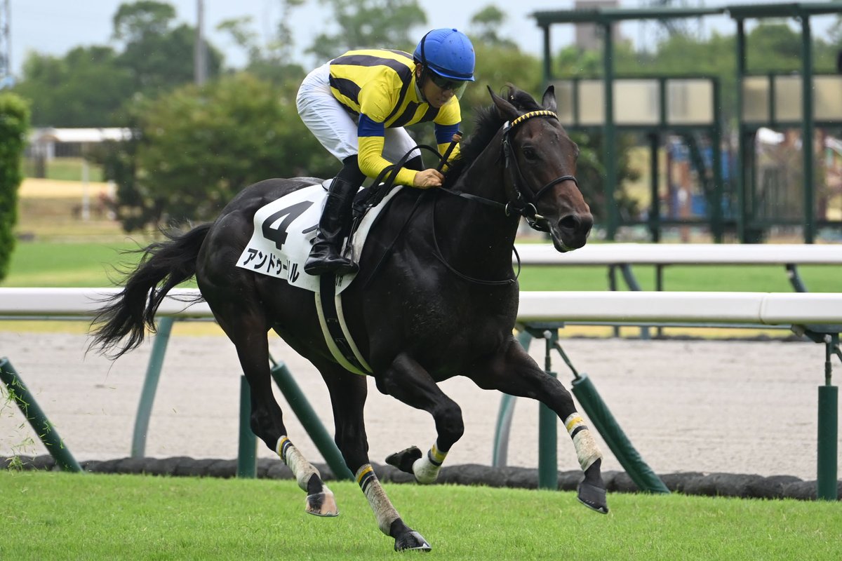 上山競馬 ラスト·メモリアル 武豊騎手 上山競馬 ラスト